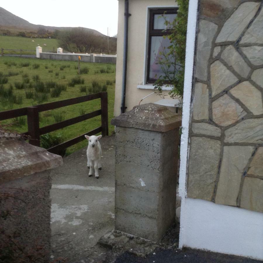 Sea View Chalet Kilsallagh Westport Co Mayo Экстерьер фото